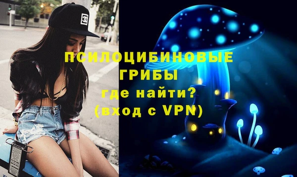 ALPHA PVP Переславль-Залесский