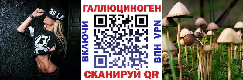 где купить наркоту  Чебаркуль  Псилоцибиновые грибы Cubensis 