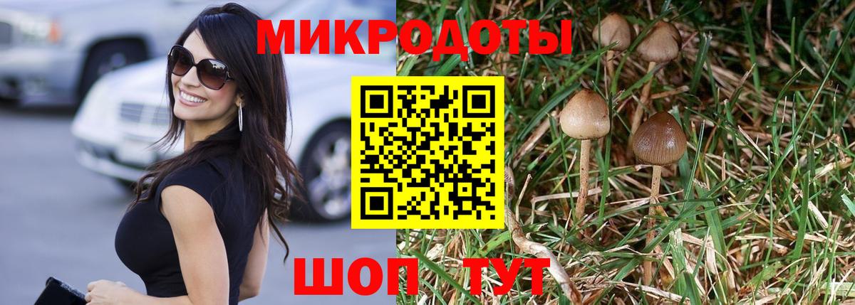 Псилоцибиновые грибы GOLDEN TEACHER  Вход с VPN  Чебаркуль 